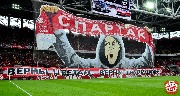 Spartak-horse (12).jpg